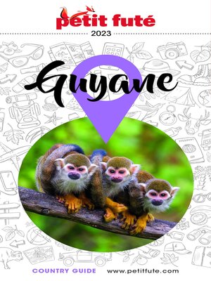 cover image of Guyane 2022 Petit Futé